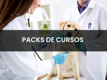 Fórmate con nuestro micropack de veterinaria y aumenta tus conocimientos profesionales.