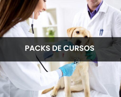 Fórmate con nuestro micropack de veterinaria y aumenta tus conocimientos profesionales.