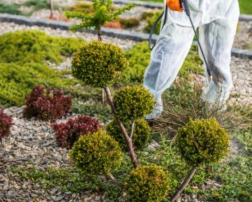 Estudiar la certificación de jardinería profesional