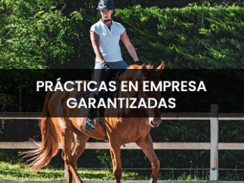 Estudiar el Curso de Monitor de Equitación Prácticas