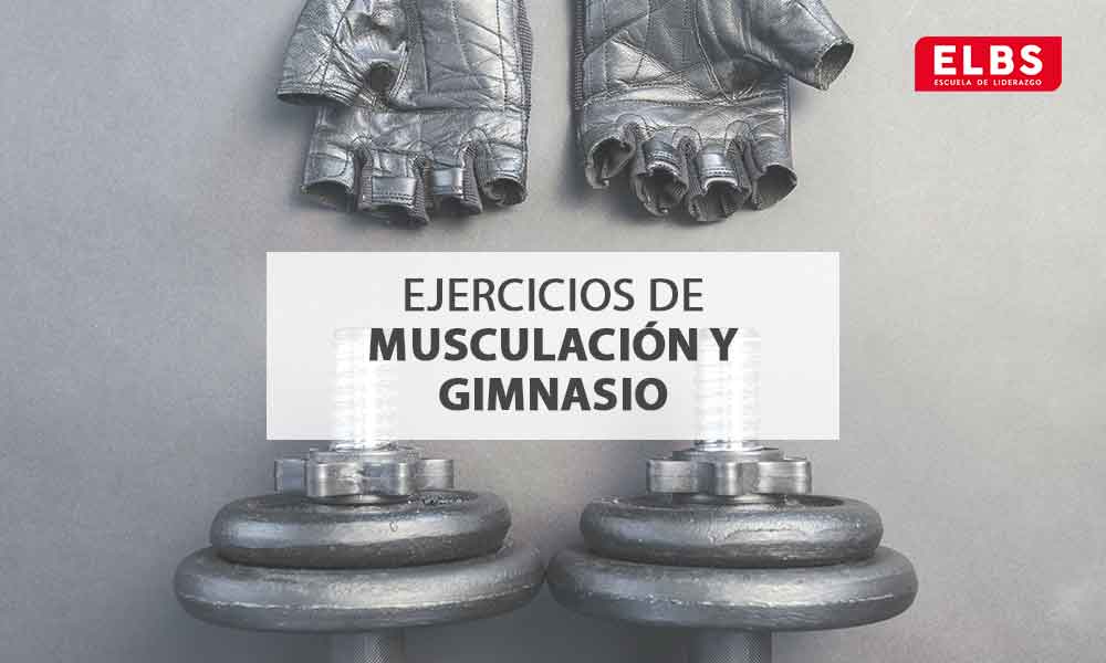 Ejercicios de musculación y gimnasio para principiantes