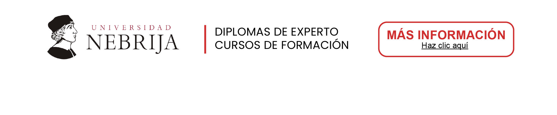 Cursos de Formación avalados por la Universidad Nebrija