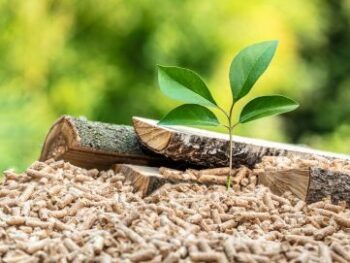 Energías Renovables: Especialidad Biomasa