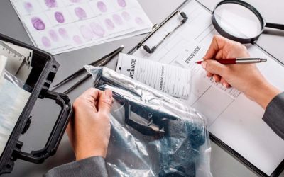 estudiar experto en criminología